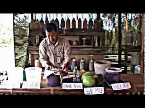 ... berkebun hidroponik dengan mudah menghasilkan cara tanaman hidroponik