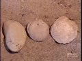 Museo de Barro - Ocucaje