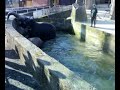 Liberec Zoo Liberec Zoo
