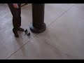 Easy Radiant Works - Patio Heater Wheel Kit