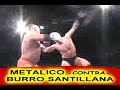 Burro Santillana Burro Santillana