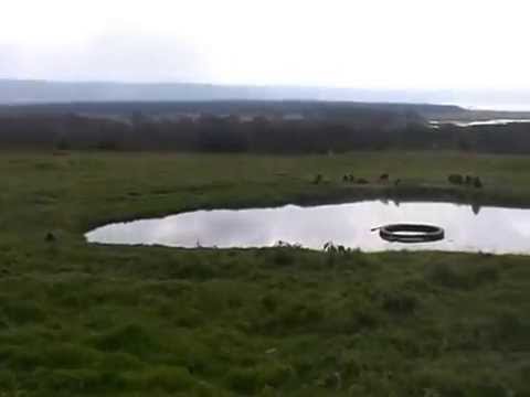 Lake Nakuru Lodge環境