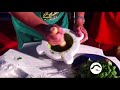 Il Pesto al Festival dell'Acqua