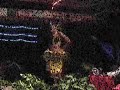 te mire kapa  dancer of the year  rarotonga 2006  part 7  
