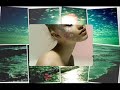 Yann Tiersen - Amelie Poulain - Comtine d\