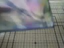Video 18 - Chandelle et Aquarelle - Candle and Watercolors