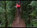 Beginning of ROAM-Berrecloth