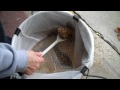 Video screenshot