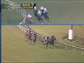 Talamo Gives Flashover Winning Trip In Feature