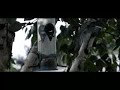 Great titmouse turning 180 dgr. by forage tower Great titmouse turning 180 dgr. by forage tower