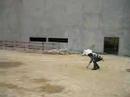 Click here to watch this video JO Pékin - Battaille de ciment
