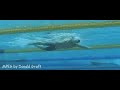 michael phelps