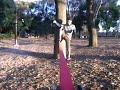 slackline
