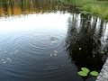 Riddarhyttan 090822