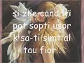 ptr-ca-te-iubesc-foa
