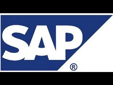 how to provide authorization in sap