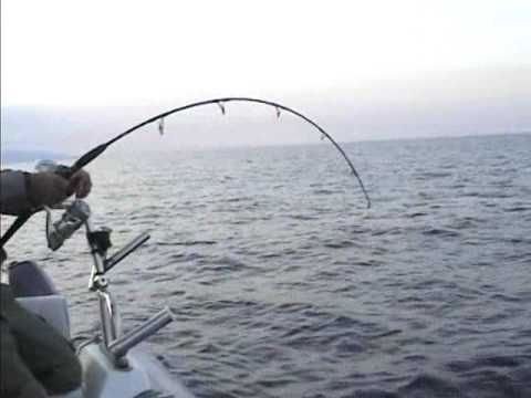 Jigging - antonello salvi www.antonellosalvi.it vertical jigging.