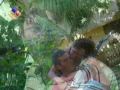 Herido Corazon de los Tarantulas de Pucallpa