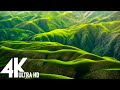 4K VIDEO (ULTRA HD) : UNBELIEVABLE BEAUTY - R ..