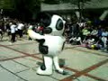 CHISTOSO, vaca, prepa8, 514.tabla jimnastica
