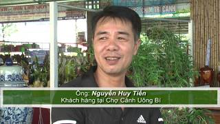 Chợ cảnh Uông Bí: Thêm nhiều mặt hàng phong phú và hấp dẫn