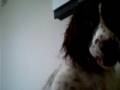 videos de Eric Pryds-Piano