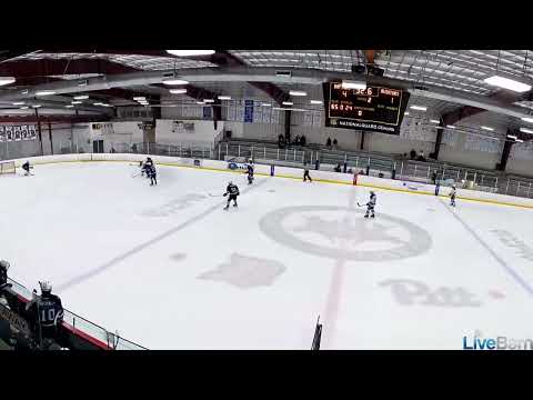 Backcheck and hit, Varsity game