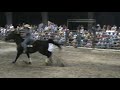 Woodbury Rodeo 8/22/08