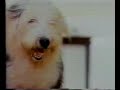 Comerciais Antigos Cachorrinho Cofap
