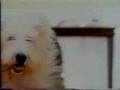 Comerciais Antigos Cachorrinho Cofap