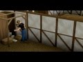 videos de The Life episode 1