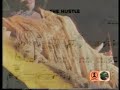 Van Mccoy – The Hustle