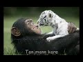 Yaaron Dosti karaoke hindi song. KK. Pal.