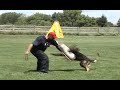 Troy Seaton...Schutzhund Helper work 2008