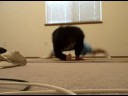 Help Me Windmill