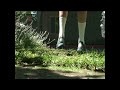 Acics Rugby Cleats