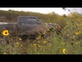 pond + boggers 2