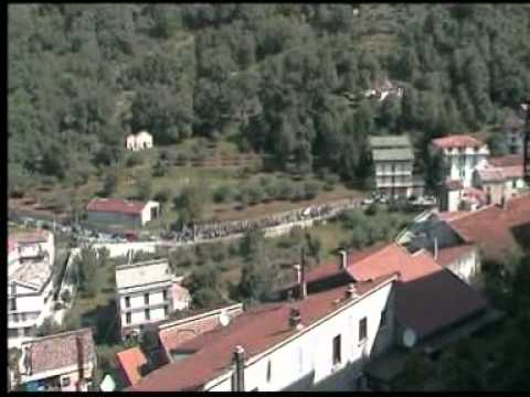 cervato
