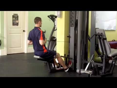 0 2 Week Fat Burning Basics (program for you)