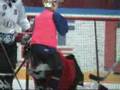 Jääkiekko 2008