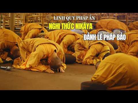 Nghi Thức NIKAYA - Đảnh Lễ Pháp Bảo & Thiền Quán - Khổ & Thương - Trải Tâm Từ *