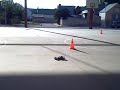 carrera coches rc