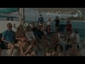 WildQuest Dolphin Experience - Meinhard's Story