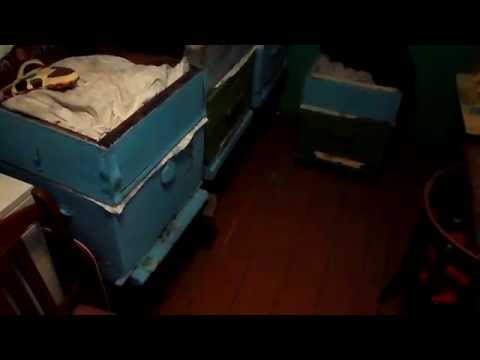Подушки для пчел видео
