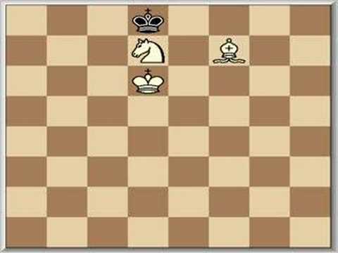 chess knight