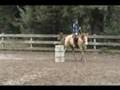 Parelli Level 2 assessment-Freestyle part 2