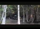 Max Iv 6x6 aatv in the mud logs and swamp
