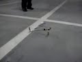 Homemade R/C butterfly Homemade R/C butterfly