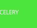 The Celery Song The Celery Song