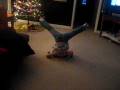 videos de happy dance vol. 2: The Firecracker Dance